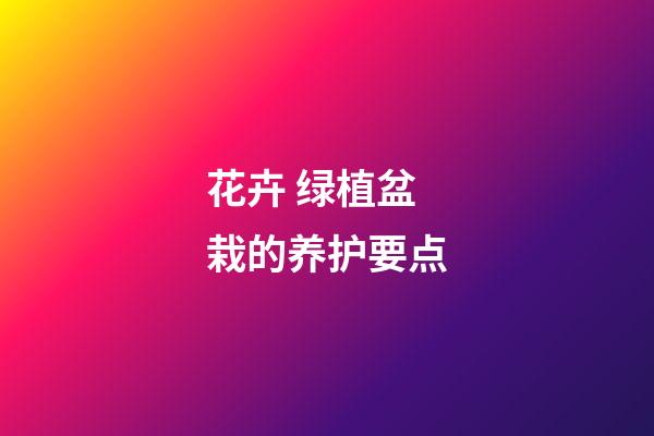 花卉 绿植盆栽的养护要点